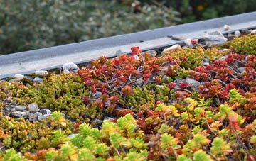 the cost of Hifnal green roof installation