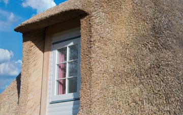Hifnal thatch roof disadvantages